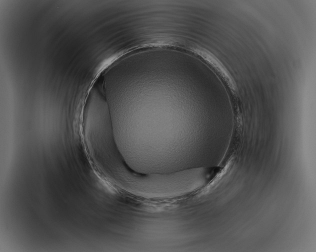 X0000086790842200705111814