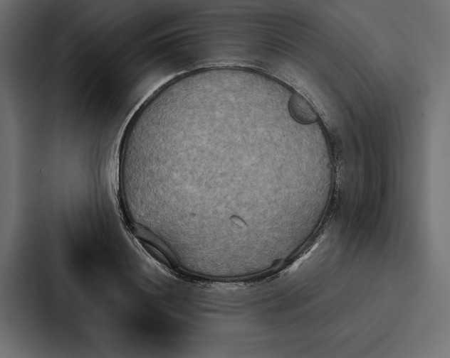 X0000086790844200705111814