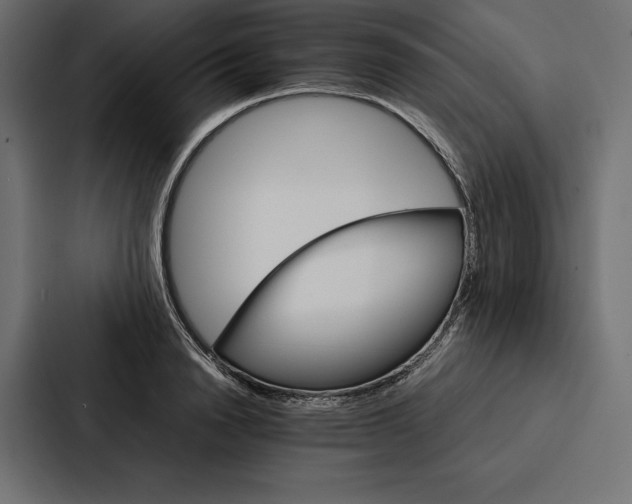 X0000086790846200705111814