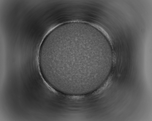 X0000086790847200705111814