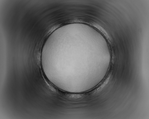 X0000086790849200705111814