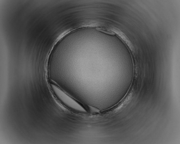 X0000086790850200705111814