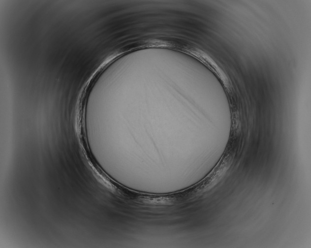 X0000086790851200705111814