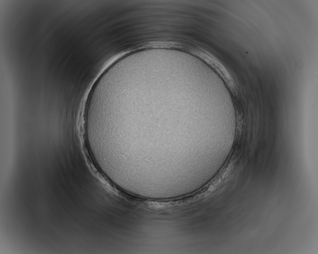 X0000086790852200705111814