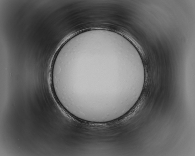 X0000086790853200705111814