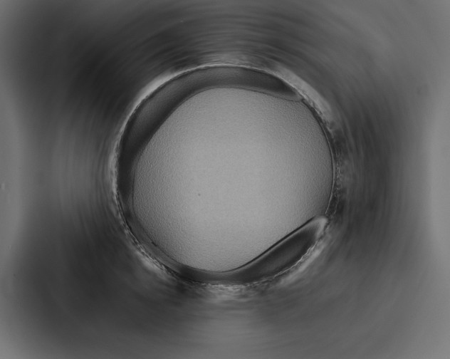 X0000086790854200705111814