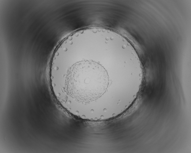 X0000086790856200705111814