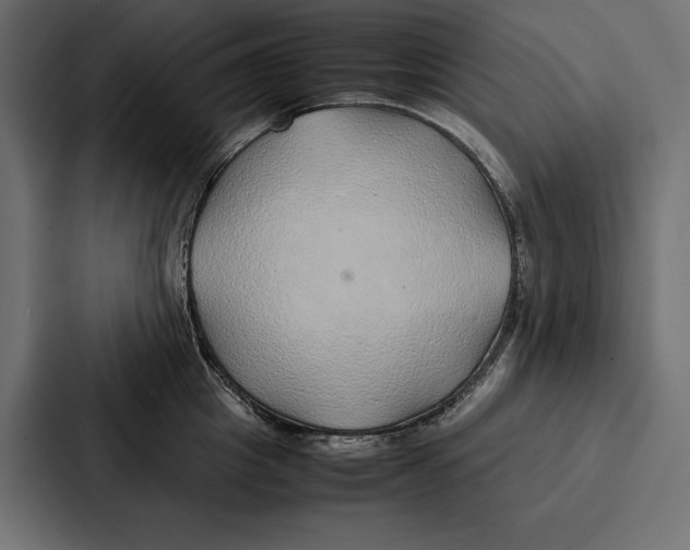 X0000086790857200705111814