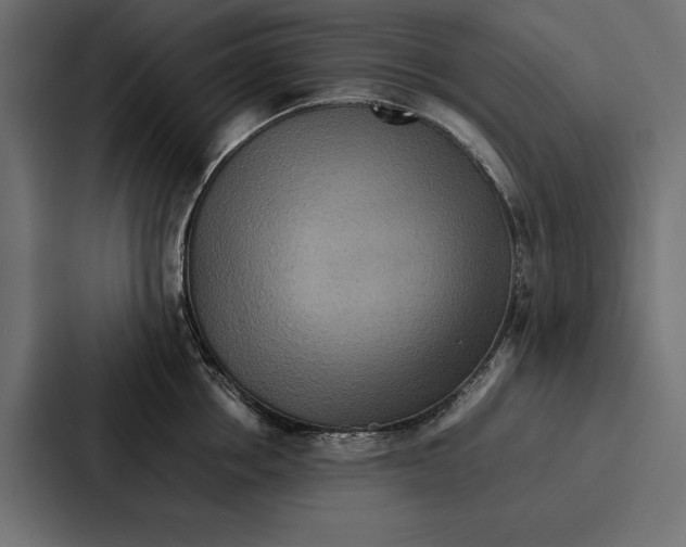 X0000086790858200705111814