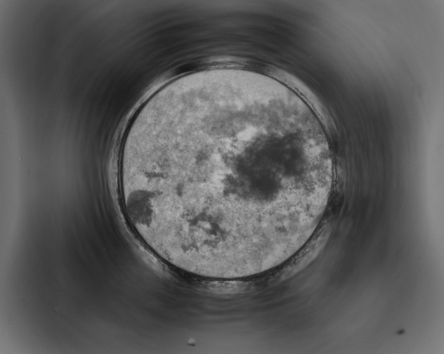 X0000086790859200705111814