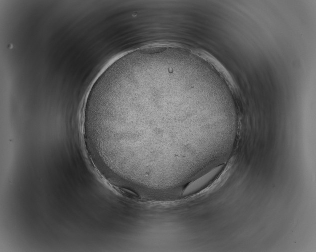 X0000086790860200705111814