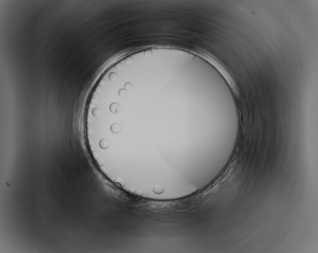 X0000086790861200705111814