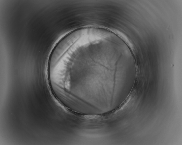 X0000086790863200705111814