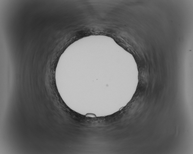 X0000086790865200705111813