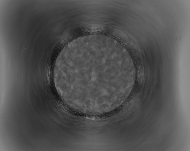 X0000086790866200705111813