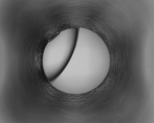 X0000086790868200705111813