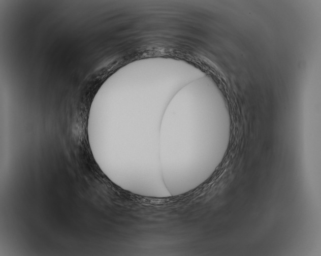 X0000086790869200705111813