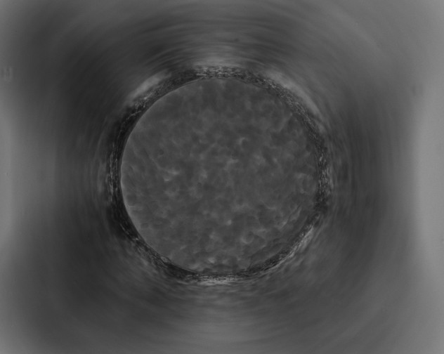 X0000086790870200705111813