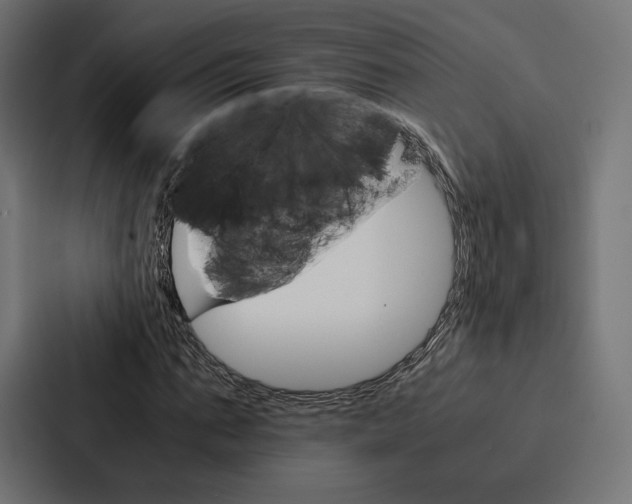 X0000086790871200705111813