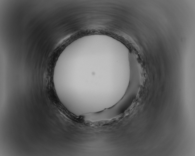 X0000086790872200705111813