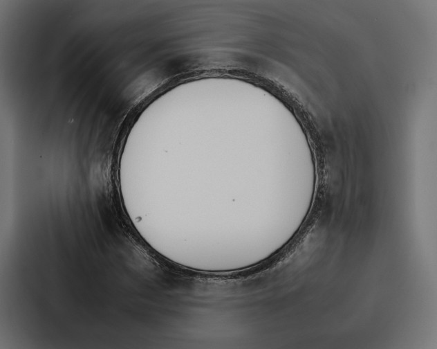 X0000086790873200705111813