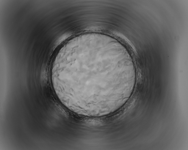 X0000086790874200705111813