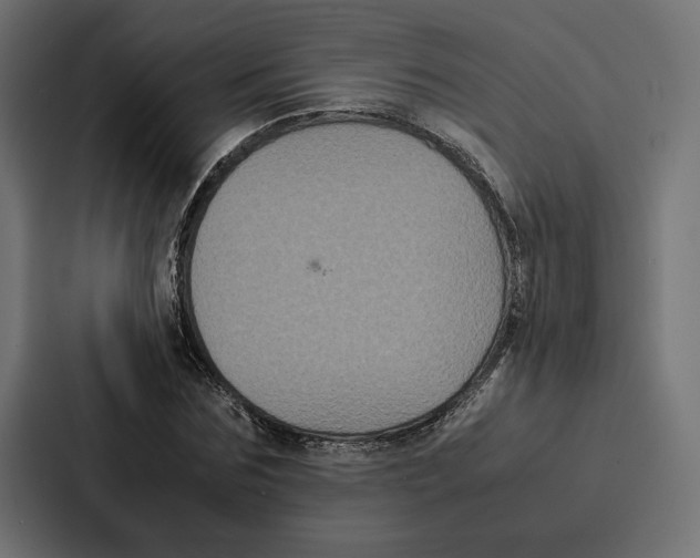 X0000086790875200705111813