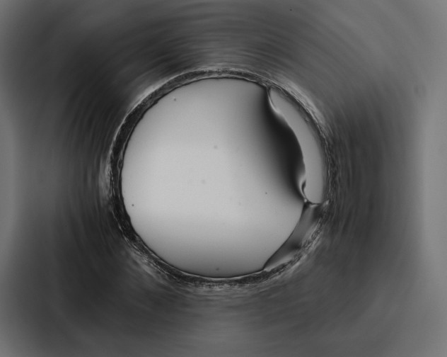 X0000086790876200705111813