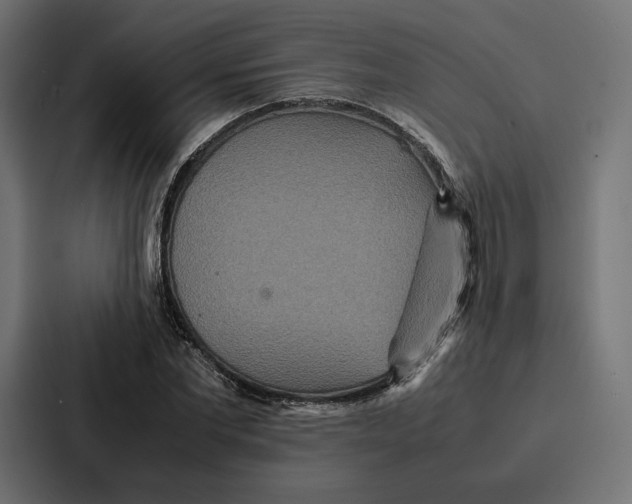 X0000086790877200705111813