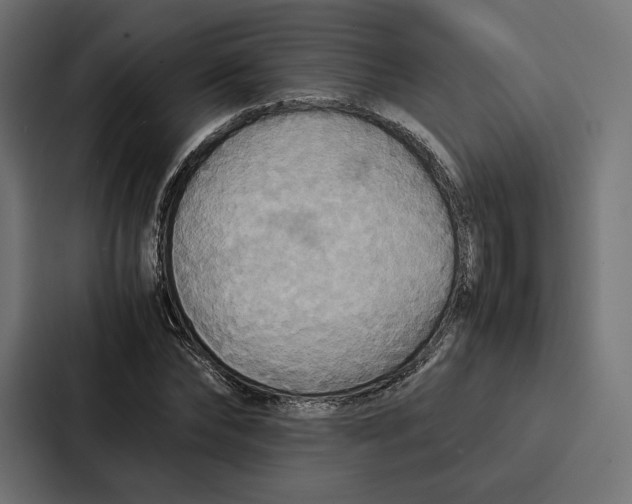 X0000086790878200705111813