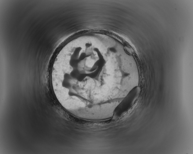 X0000086790879200705111813