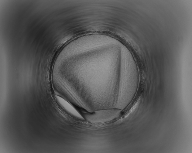 X0000086790881200705111813