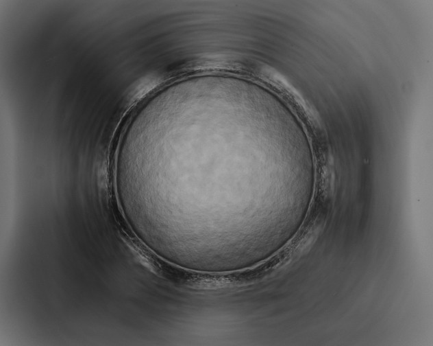 X0000086790882200705111813