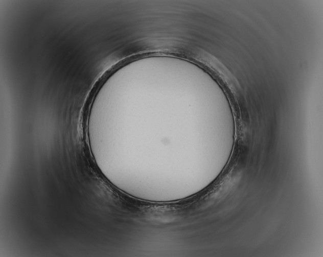 X0000086790883200705111813