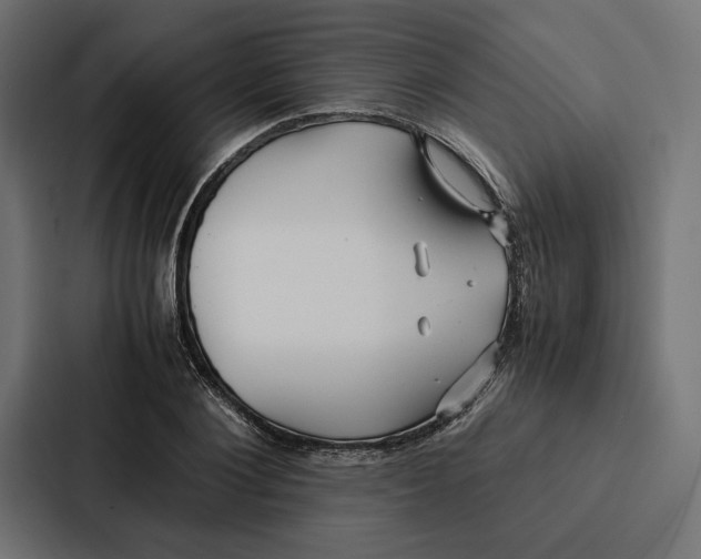 X0000086790884200705111813