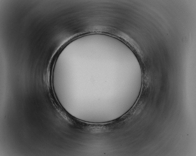 X0000086790886200705111813