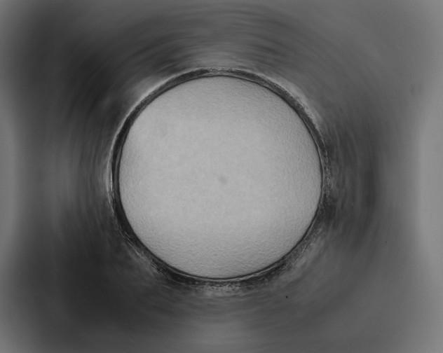 X0000086790887200705111813