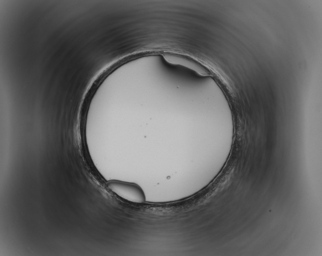 X0000086790888200705111813