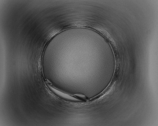 X0000086790889200705111813