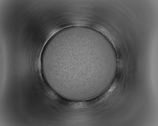 X0000086790891200705111813