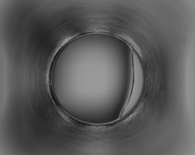 X0000086790893200705111813