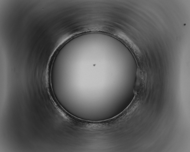 X0000086790894200705111813