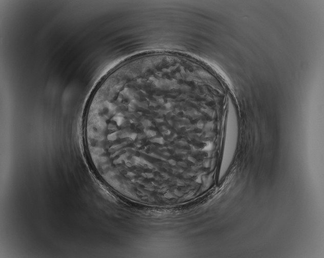 X0000086790895200705111813