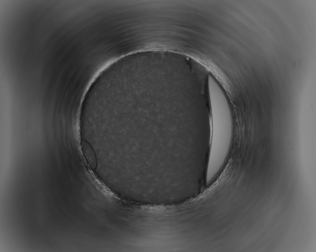 X0000086790896200705111813