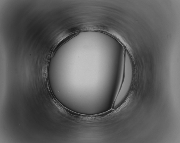 X0000086790897200705111813