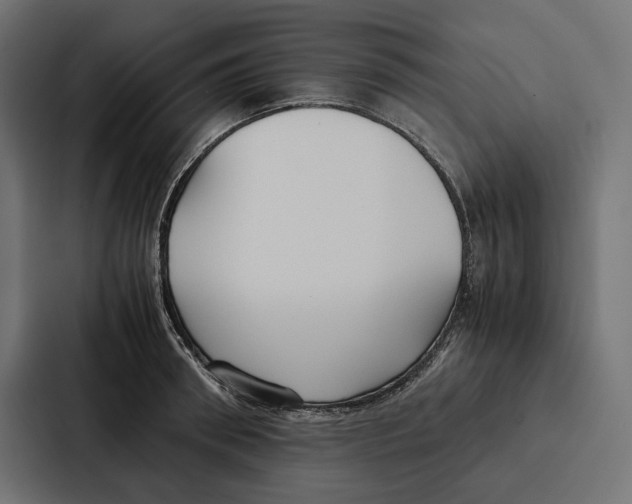 X0000086790898200705111813