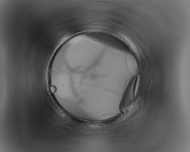 X0000086790899200705111813