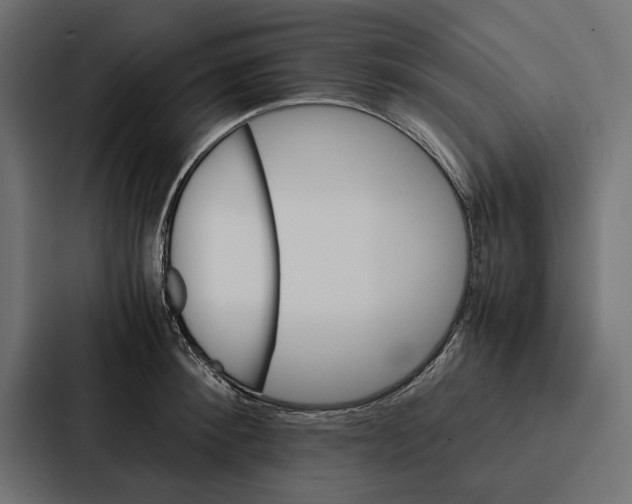 X0000086790900200705111813