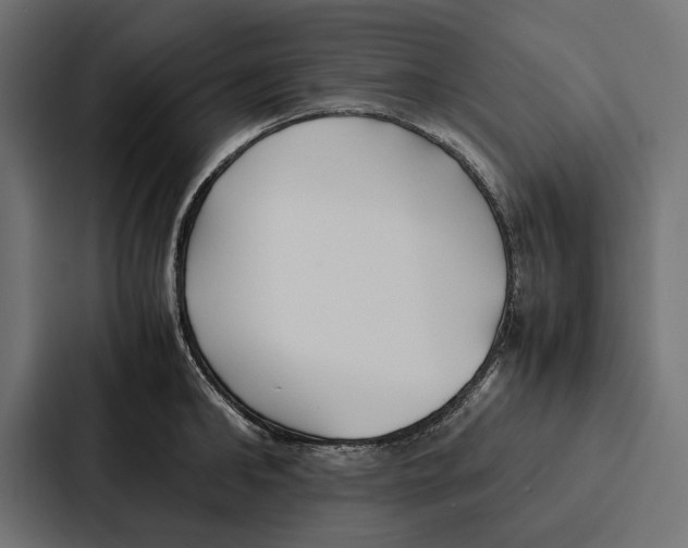 X0000086790902200705111813