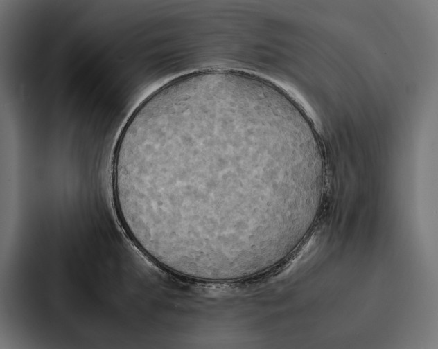 X0000086790903200705111813